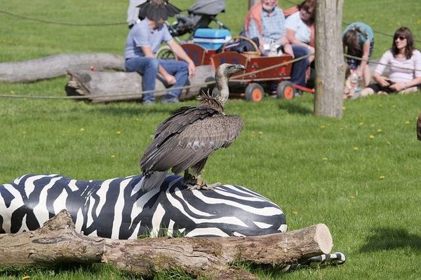 Comment organiser une chasse au trésor pour les enfants ?